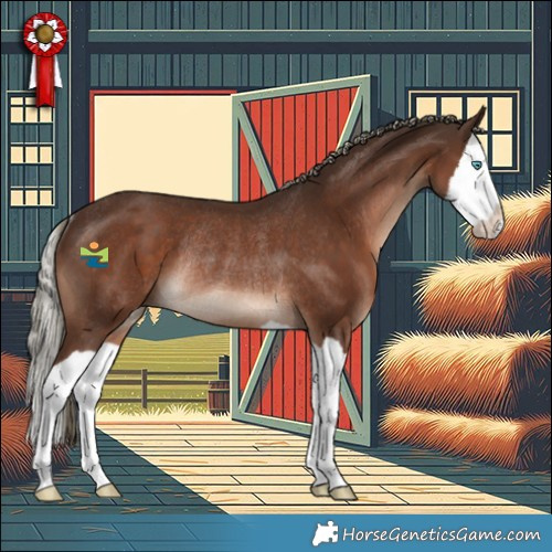 Horse Color:Liver Chestnut Mushroom Splash Rabicano 