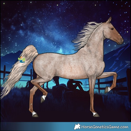 Horse Color:Red Roan Mushroom 