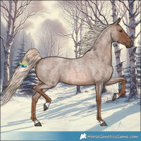 Horse Color:Red Roan Mushroom