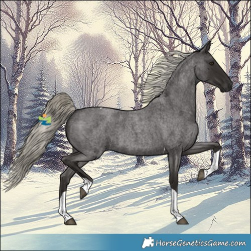 Horse Color:Liver Red Roan Mushroom Tobiano 