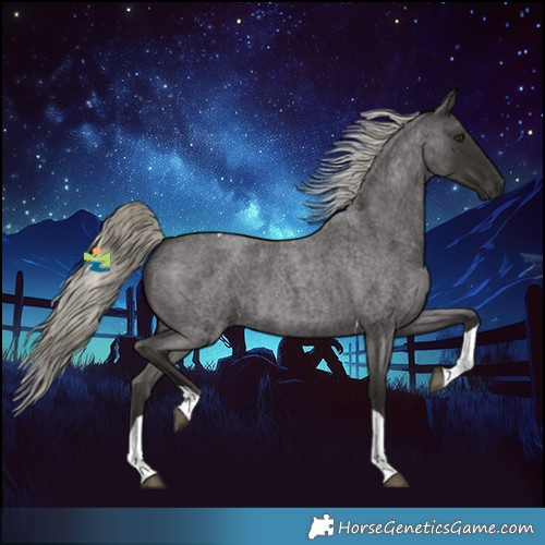 Horse Color:Liver Red Roan Mushroom Tobiano 