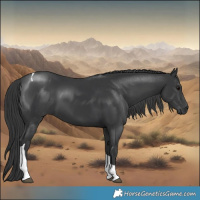 Horse Color:Black Tobiano 