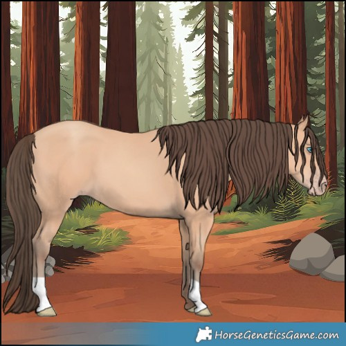 Horse Color:Amber Champagne