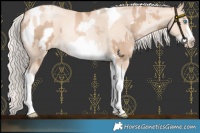 Horse Color:Chocolate Palomino Pearl Tobiano Frame and Gold Cream Champagne Pearl Tobiano Frame