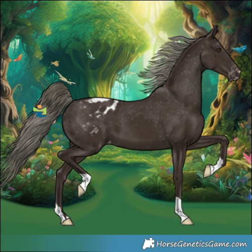 Horse Color:Liver Chestnut Mushroom Varnish 