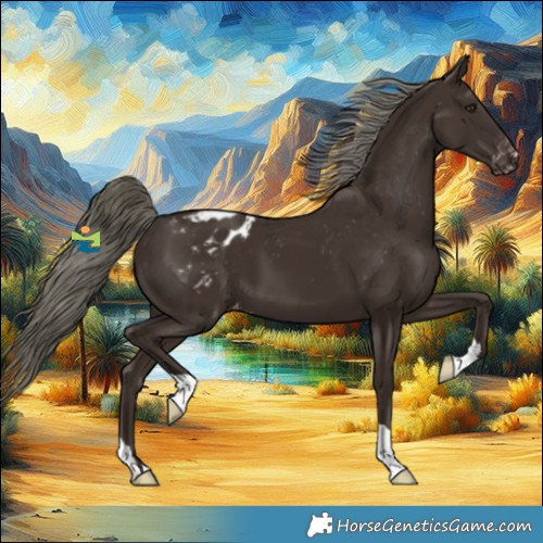 Horse Color:Liver Chestnut Mushroom Appaloosa 