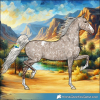 Horse Color:Liver Red Dun Mushroom Appaloosa Brindle