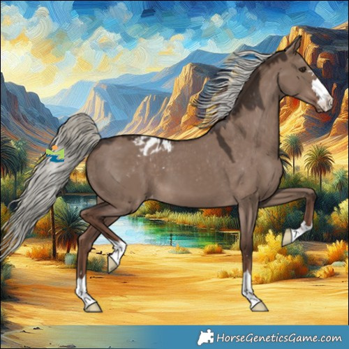 Horse Color:Liver Red Dun Mushroom Appaloosa 
