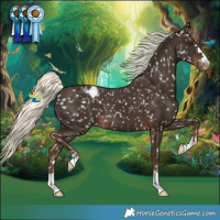 Horse Color:Liver Chestnut Mushroom Snowflake Varnish