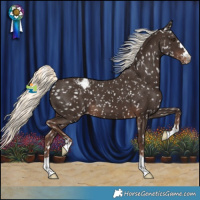 Horse Color:Liver Chestnut Mushroom Appaloosa