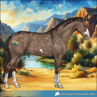 Horse Color:Liver Red Dun Appaloosa