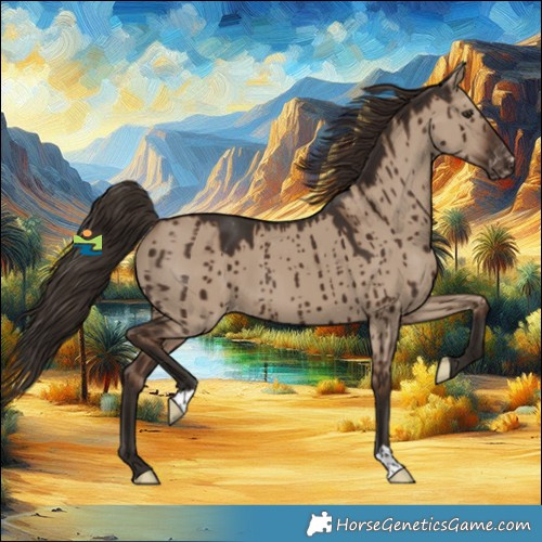 Horse Color:Liver Red Dun Appaloosa Brindle