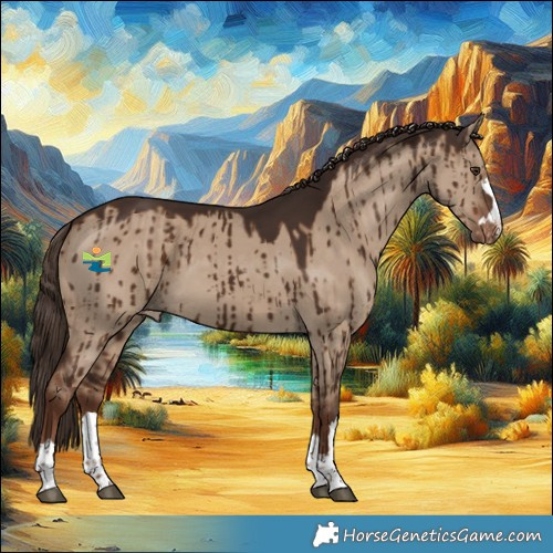 Horse Color:Liver Red Dun Appaloosa Brindle 