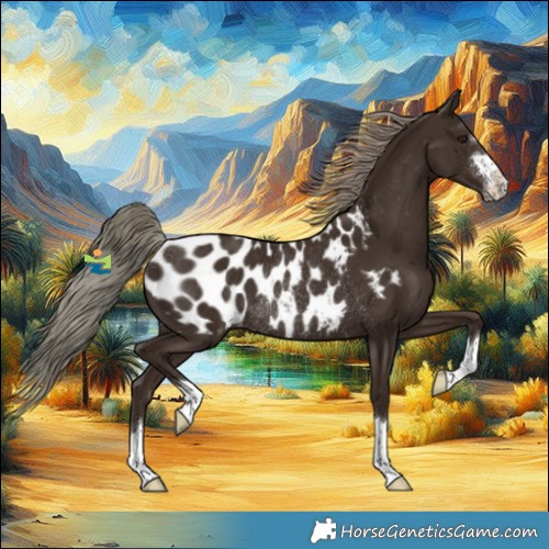 Horse Color:Liver Chestnut Mushroom Appaloosa Rabicano 