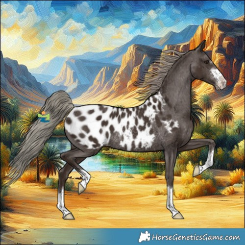 Horse Color:Liver Chestnut Mushroom Blanket Rabicano 