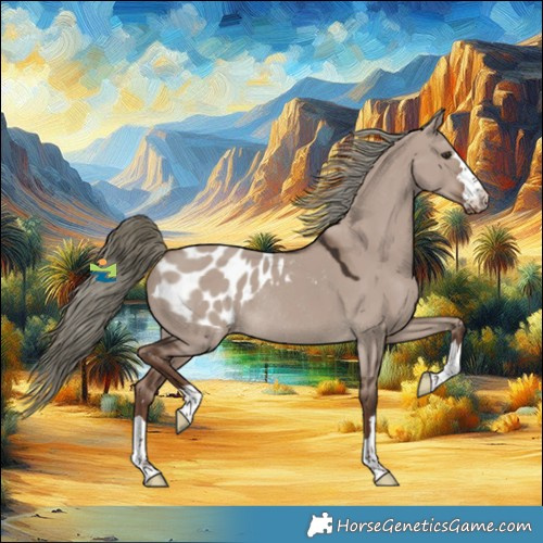 Horse Color:Liver Red Dun Mushroom Appaloosa Rabicano 