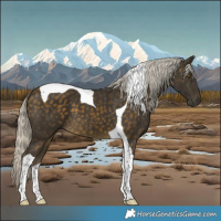 Horse Color:Silver Buckskin Tobiano 