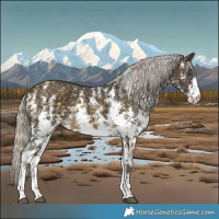 Horse Color:Silver Buckskin Sabino Rabicano