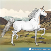 Horse Color:Red Dun Splash Tobiano Frame
