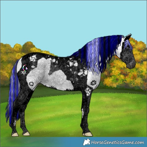 Horse Color:Void Painted Cremello Chinchilla Splash Tobiano