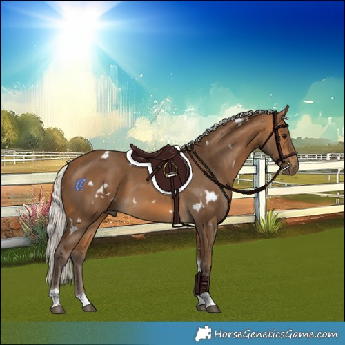 Horse Color:White Spotted Silver Buckskin Tobiano 
