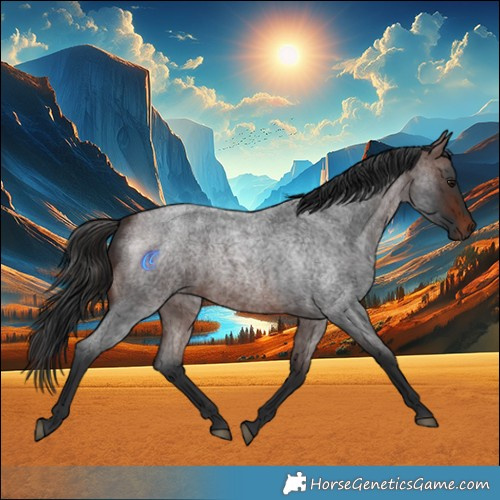 Horse Color:White Spotted Brown Roan 
