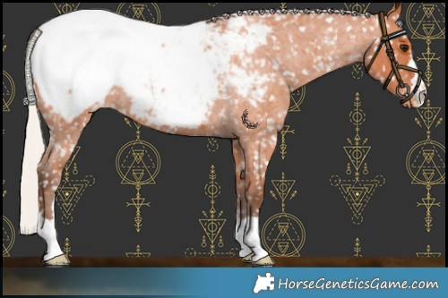Horse Color:Silver Bay Roan Near Fewspot 