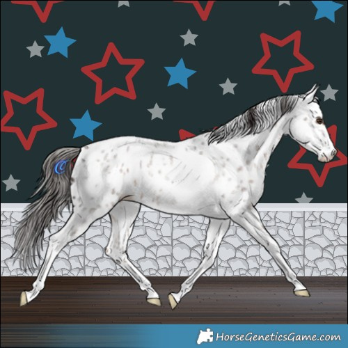Horse Color:Liver Red Roan Tobiano Appaloosa Rabicano