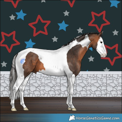 Horse Color:Bay Splash Tobiano 