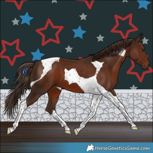 Horse Color:Liver Chestnut Tobiano 