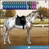 Horse Color:White Spotted Chocolate Palomino Blanket