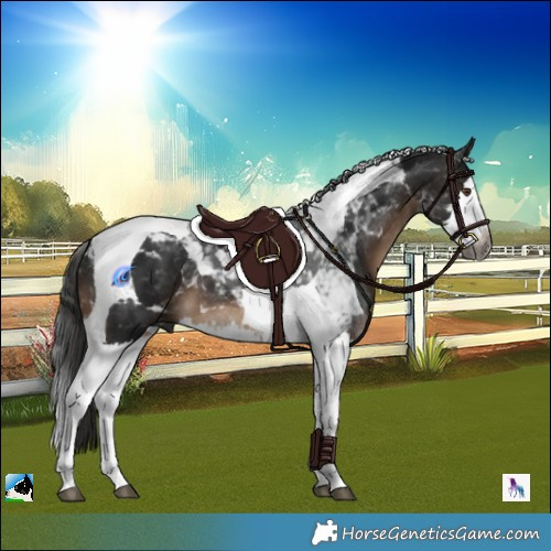 Horse Color:Gray Brown Mushroom Splash Tobiano 