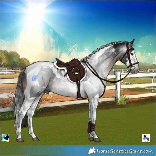 Horse Color:Gray Brown Mushroom Splash Tobiano 