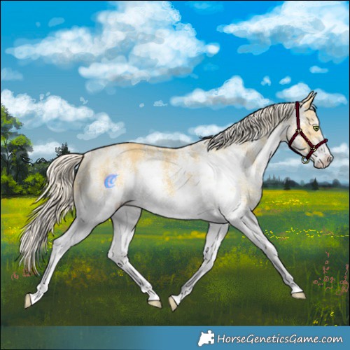 Horse Color:White Spotted Palomino Mushroom 