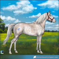Horse Color:Cremello Mushroom Sabino