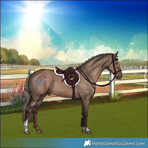 Horse Color:White Spotted Liver Red Dun Mushroom Tobiano 