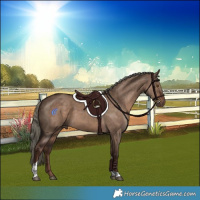 Horse Color:White Spotted Liver Red Dun Mushroom Tobiano 