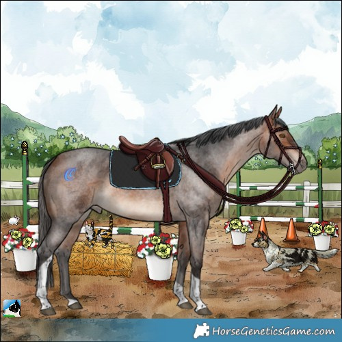 Horse Color:Bay Roan Merle Tobiano