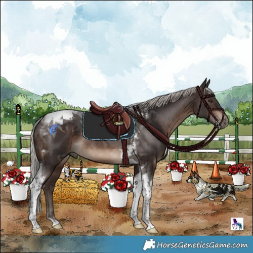 Horse Color:Silver Brown Tobiano