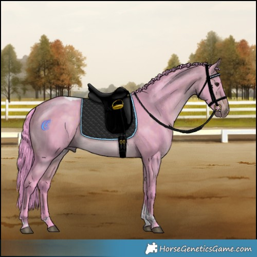 Horse Color:Watercolor Chocolate Bay Dun Tobiano Rabicano 