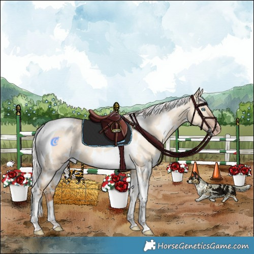 Horse Color:White Spotted Silver Amber Champagne Dun Tobiano Rabicano 