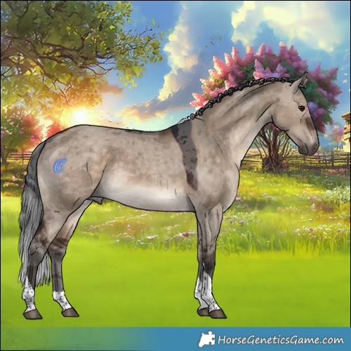 Horse Color:Brown Dun Merle Tobiano 