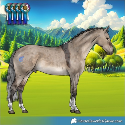 Horse Color:Brown Dun Merle Tobiano 