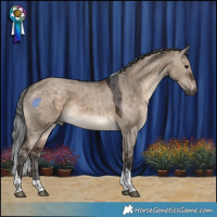 Horse Color:Brown Dun Merle Tobiano 
