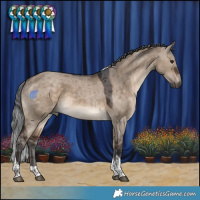 Horse Color:Brown Dun Merle Tobiano