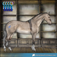 Horse Color:Brown Dun Merle Tobiano 