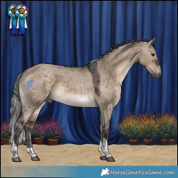 Horse Color:Brown Dun Merle Tobiano 