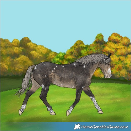 Horse Color:White Spotted Silver Smoky Black Splash Tobiano 
