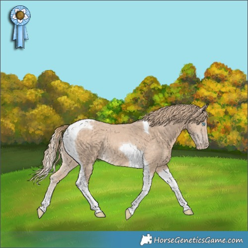 Horse Color:Perlino Tobiano Rabicano 