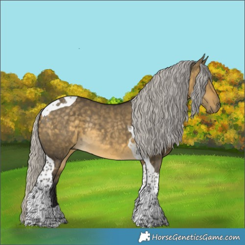 Horse Color:Silver Buckskin Dun Tobiano Rabicano 